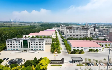 利達助力遼寧鼎際得石化項目